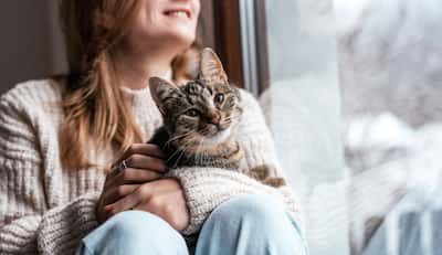 Niño feliz con perro