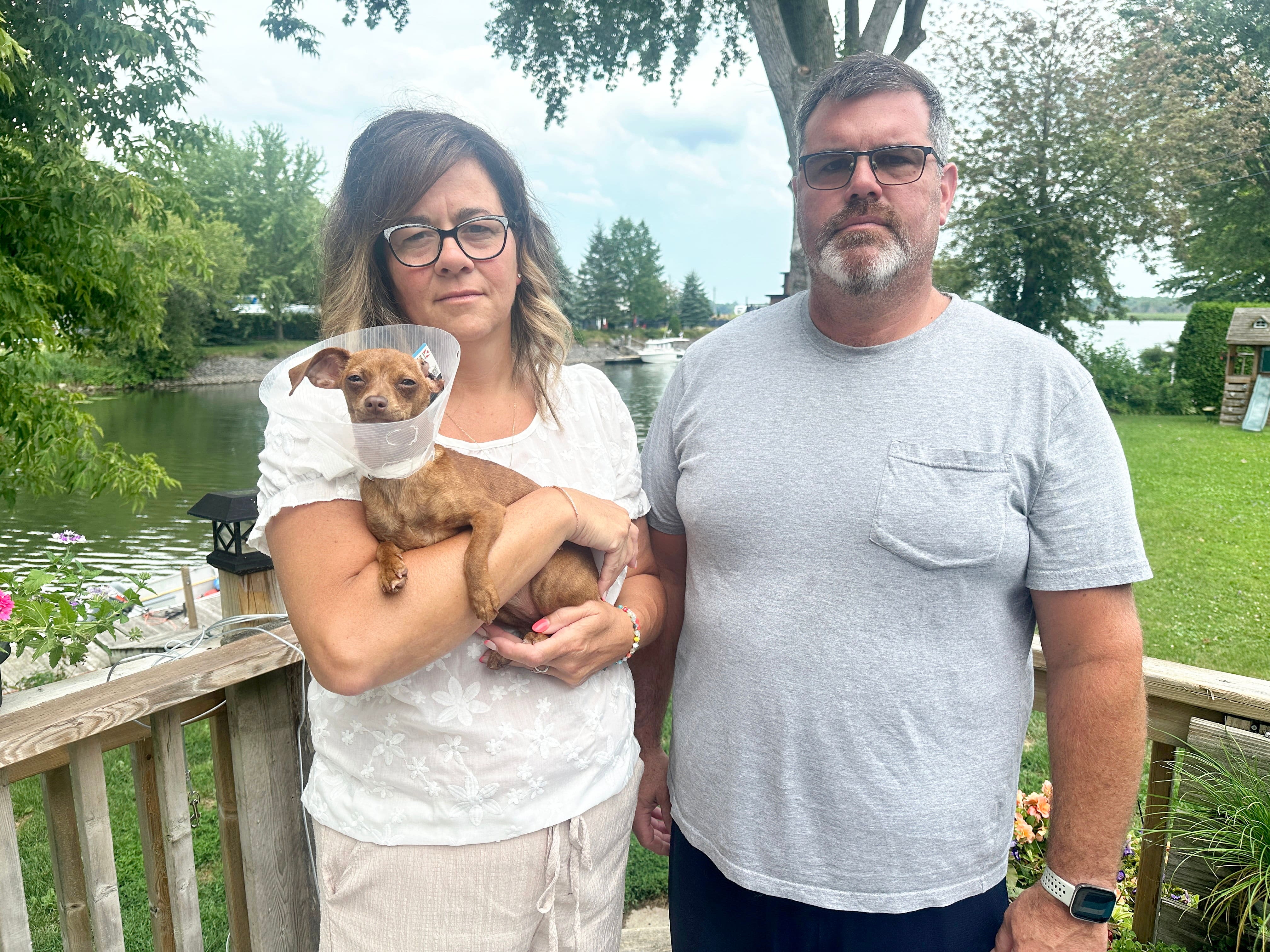 «On aurait pu assister à une décapitation»: sa petite chienne mutilée par un pitbull