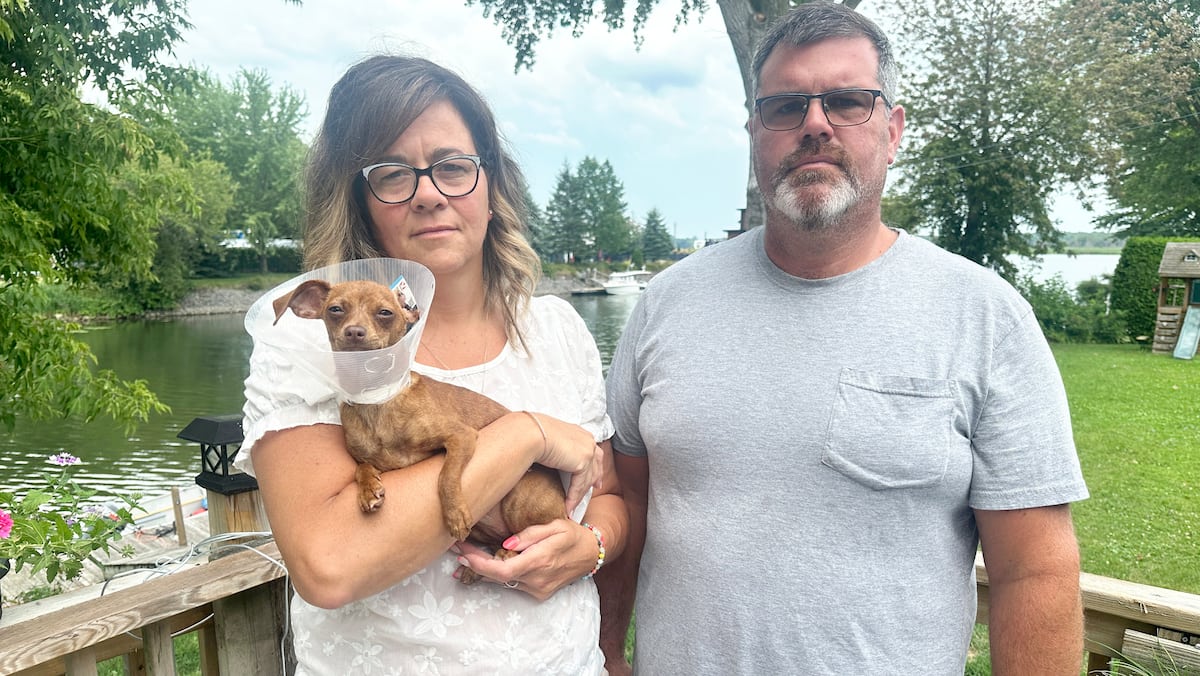 «On aurait pu assister à une décapitation»: sa petite chienne mutilée par un pitbull