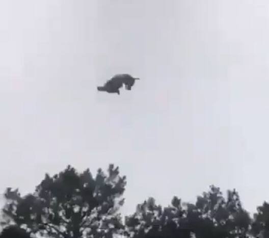 Enquete Sur Un Cochon Mort Tombe Du Ciel Tva Nouvelles Un chimiste, interpele par les technologies mises en oeuvre par cet homme, reussit a se faire embaucher dans ce projet. tva nouvelles