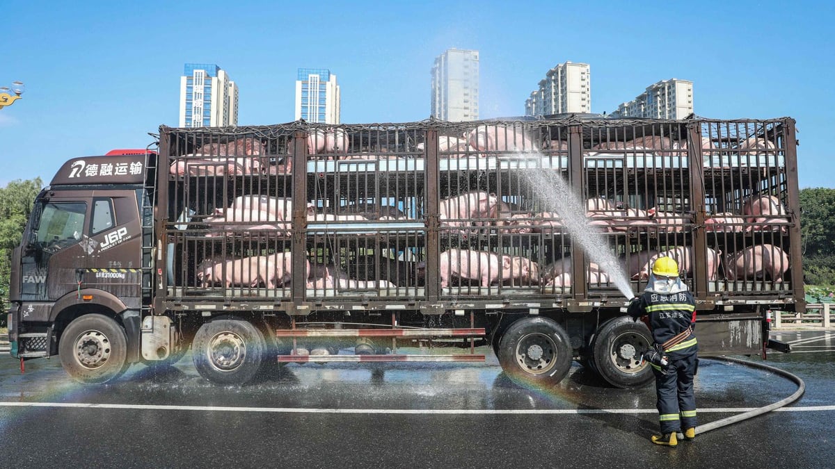 Des records de chaleur enregistrés dans l'est de la Chine