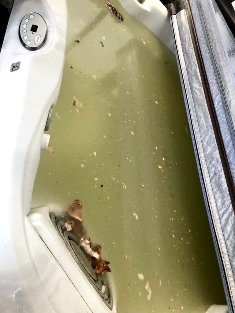Le spa de Doris Duguay a été complètement souillé de déchets alimentaires.