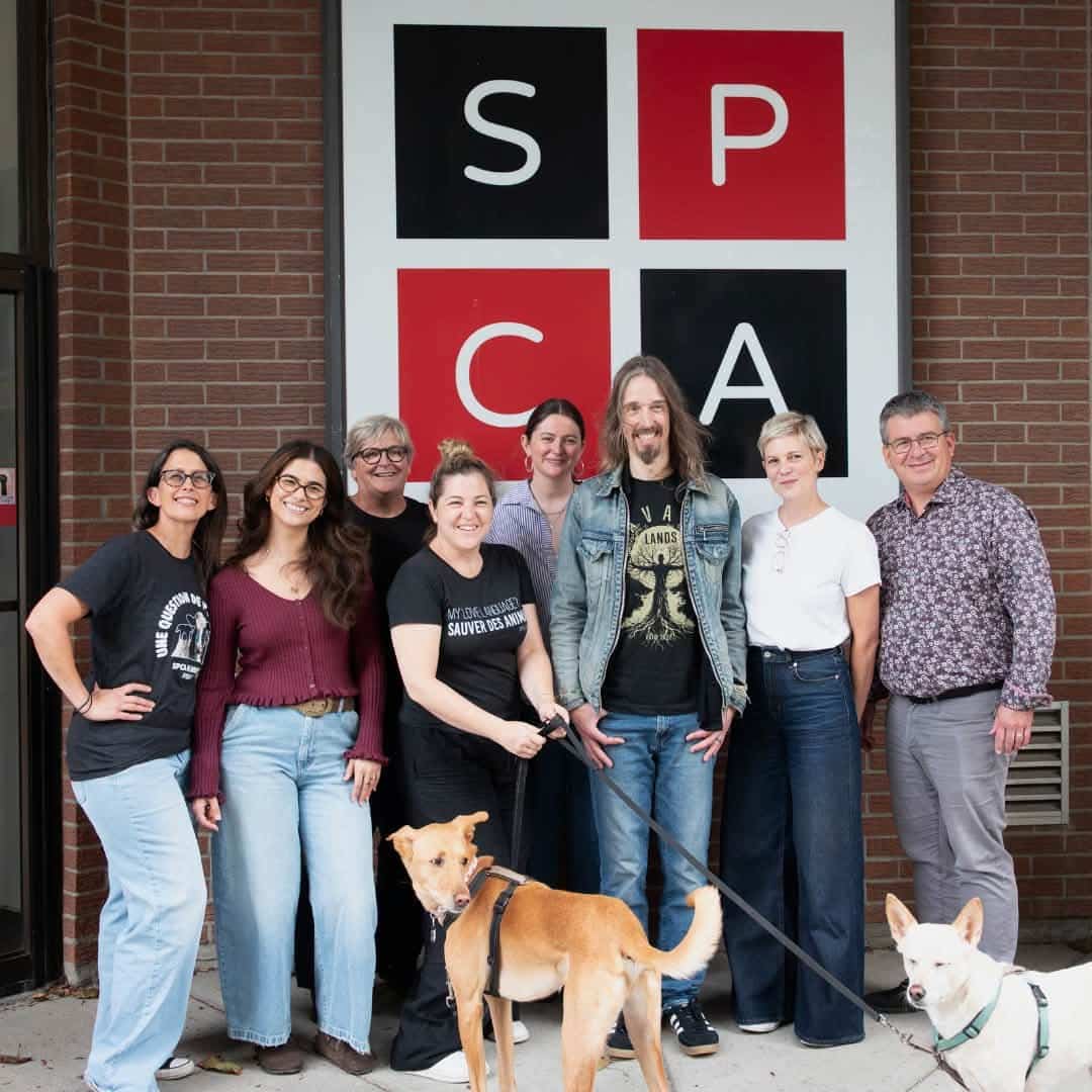 EN IMAGES | Le batteur du groupe Megadeth de passage à la SPCA de Montréal