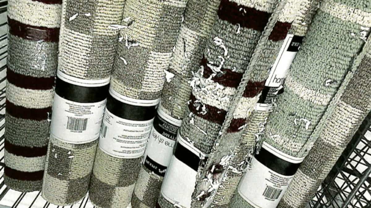 Un Tigre Géant... et une tonne de souris