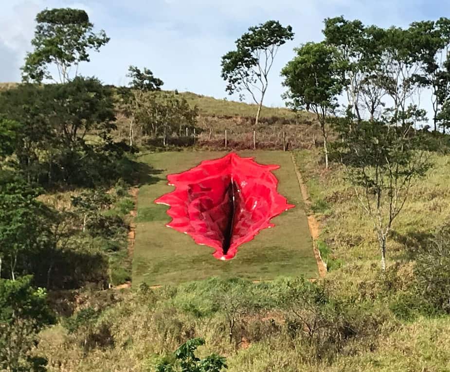 Image principale de l'article Une vulve de 33 mètres de long apparaît au Brésil