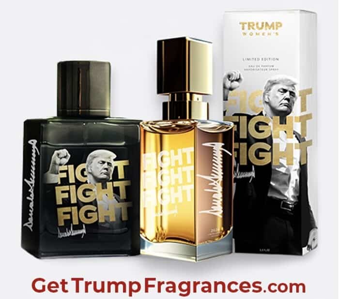 a professional photo of donald trump fighting joe | Stable Diffusion