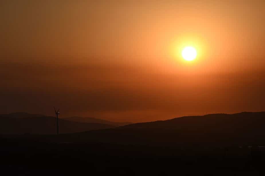 Image principale de l'article Juillet a été le mois le plus chaud de l'histoire