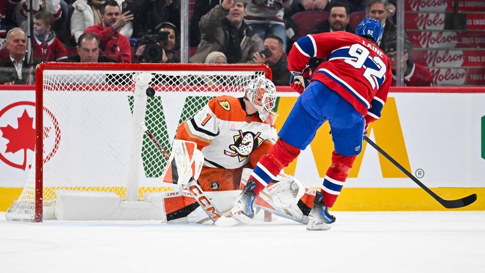 Laine trouve une nouvelle façon de se faire aimer
Laine trouve une nouvelle façon de se faire aimer