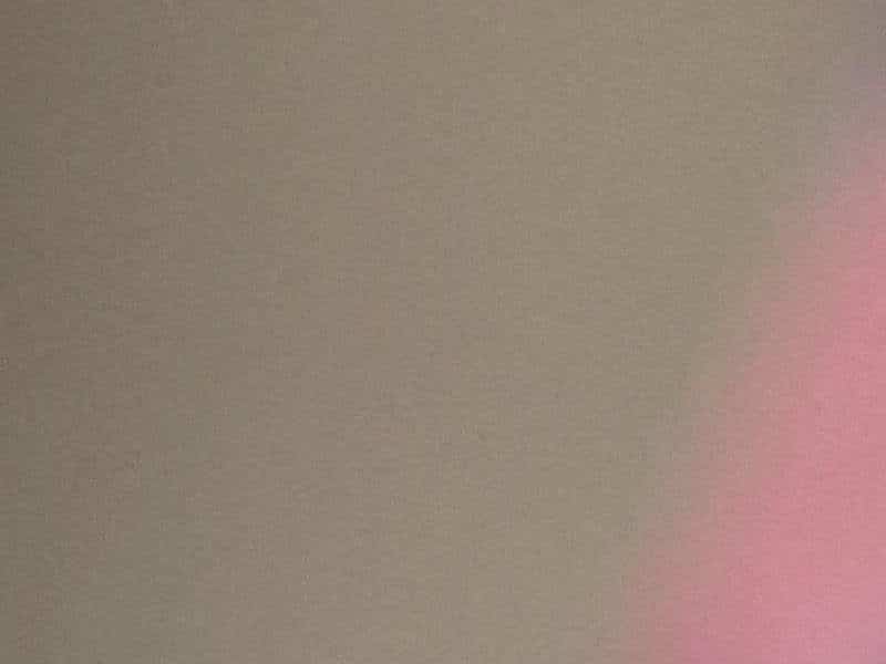 Nicki Minaj se décrit comme la « première admiratrice » de Trump