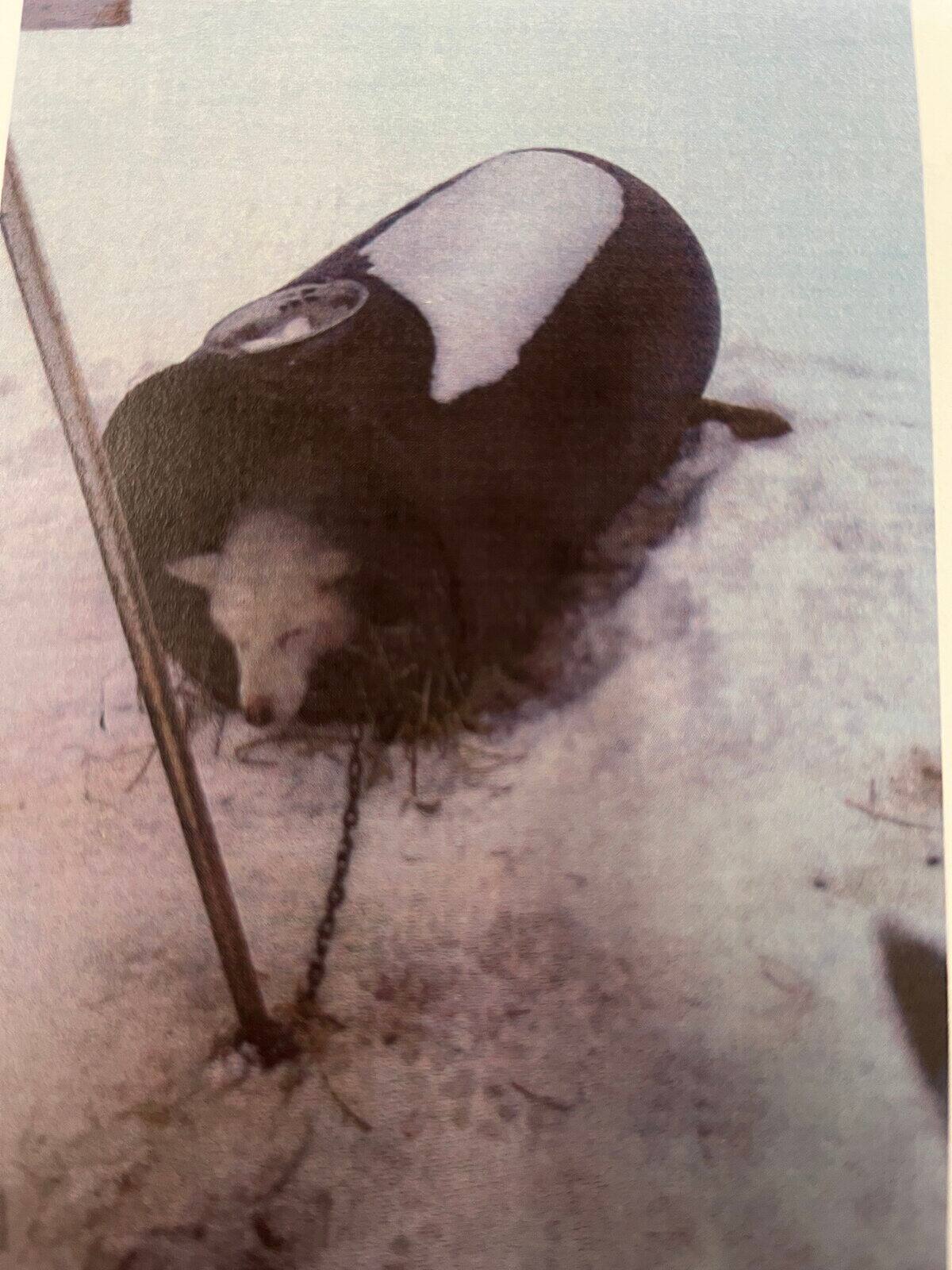 Antoine Simard cuando llegó al tribunal de Quebec el viernes por la mañana.
