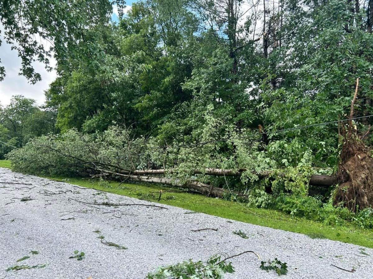 EN FOTOS |  ¿Posible tornado?  Una carretera bloqueada tras la caída de árboles en Frelighsburg