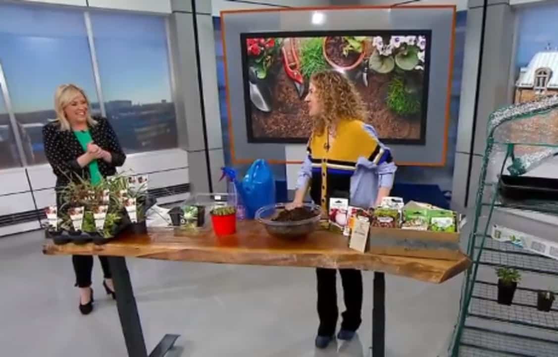 Potager à la maison : quoi faire en mars