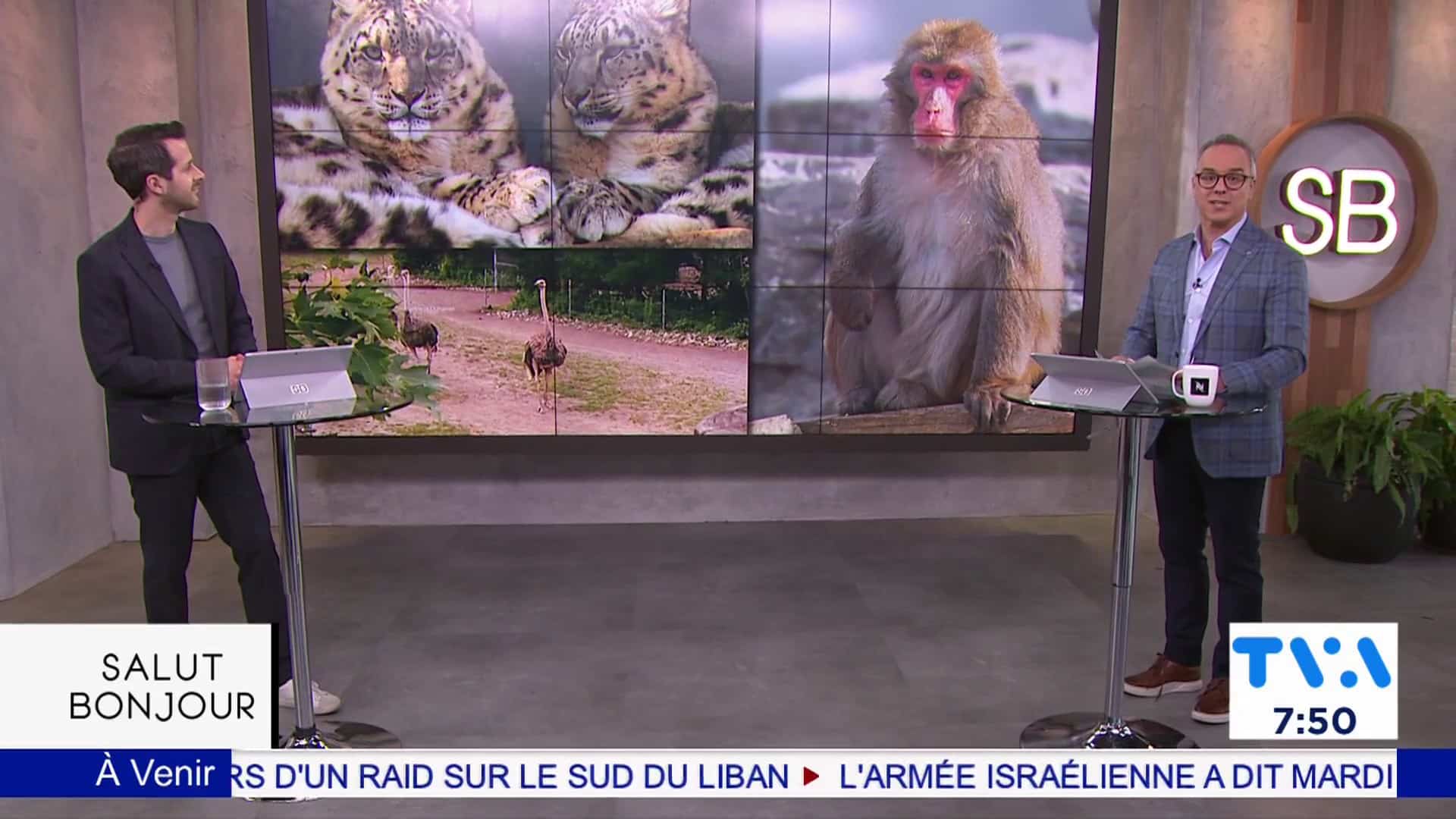 BUZZ | Impact de l'éclipse sur les animaux