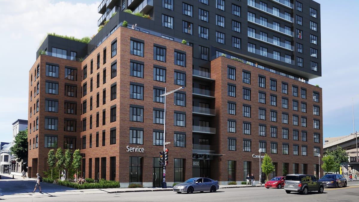 ル・ワトソン:妥協のないケベック・ル・サントルヴィルの生活 ル・ワトソン:妥協のないケベック・ル・サントルヴィルの生活