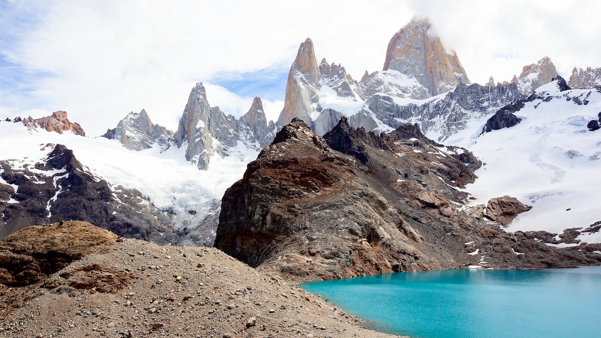 Patagonie : Le retour du puma