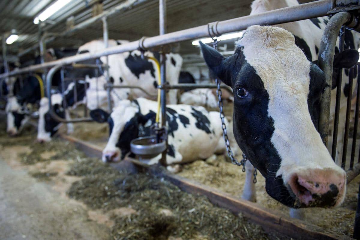 Négociations commerciales: c’est quoi, la gestion de l’offre?