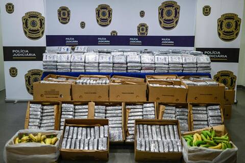 Tons of cocaine hidden under bananas seized in Portugal