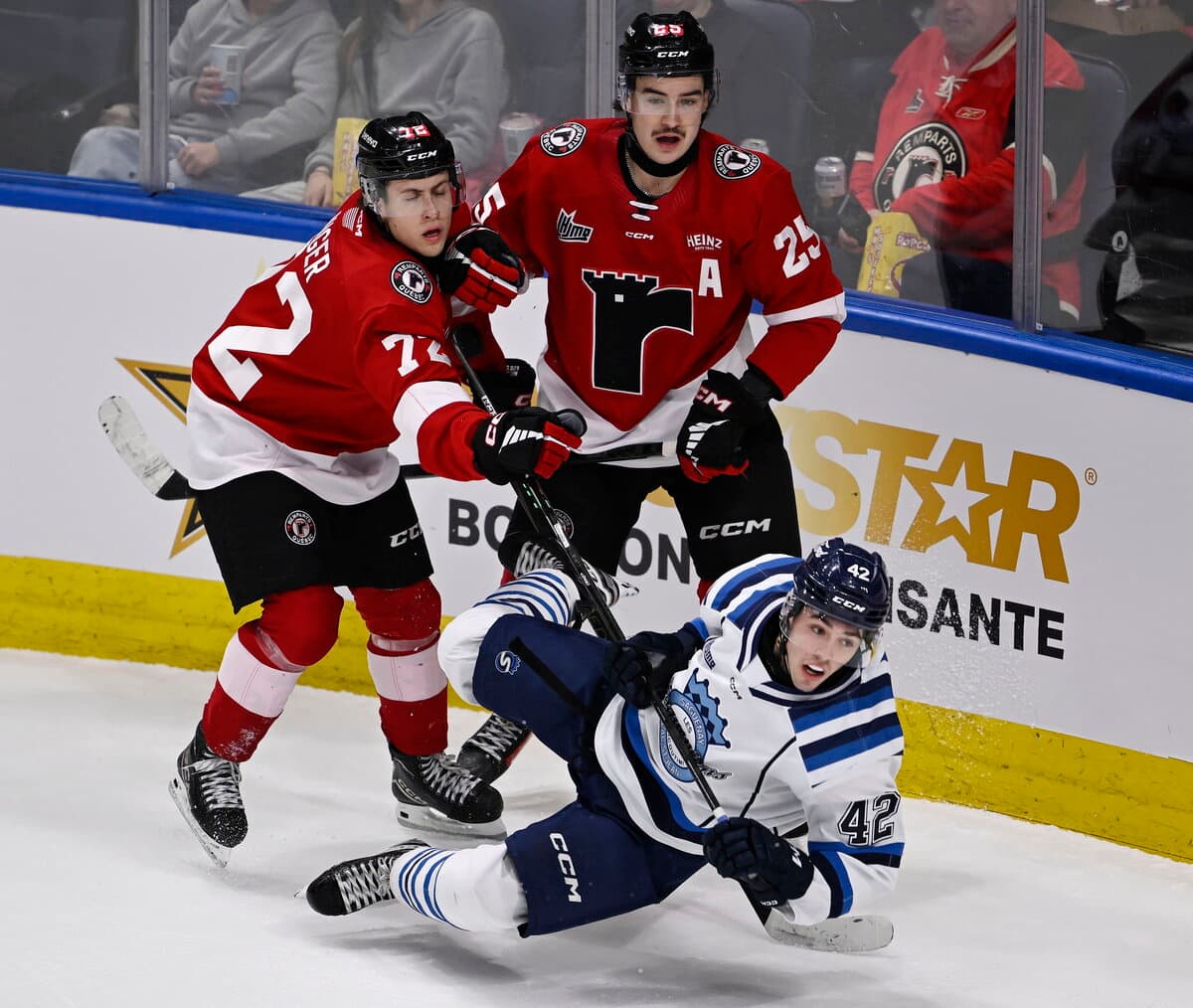 Dossier Nathan Lecompte: les 59 autres &eacute;quipes de la LCH attendent de voir ce que les Saguen&eacute;ens vont faire