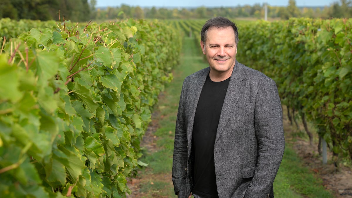 Mario Pelchat annonce qu’il présentera des concerts à son vignoble même si la CPTAQ vient de le lui interdire: «La lutte n’est pas terminée»
