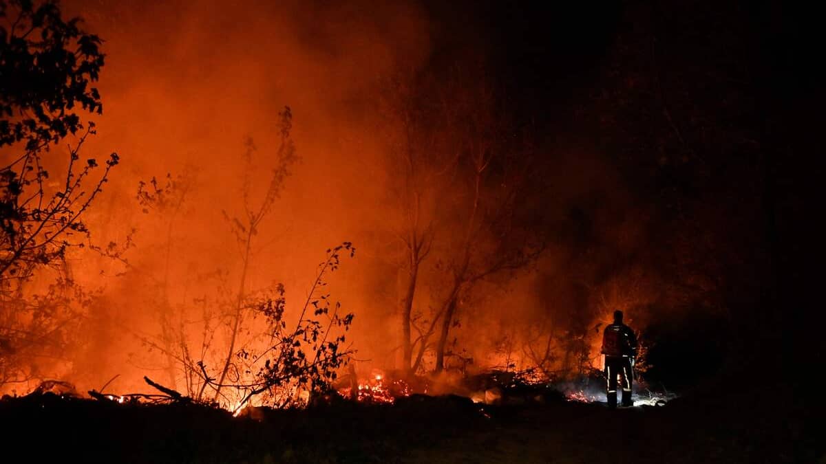 Incendies en Californie: la pollution a tué 52 000 personnes en 10 ans