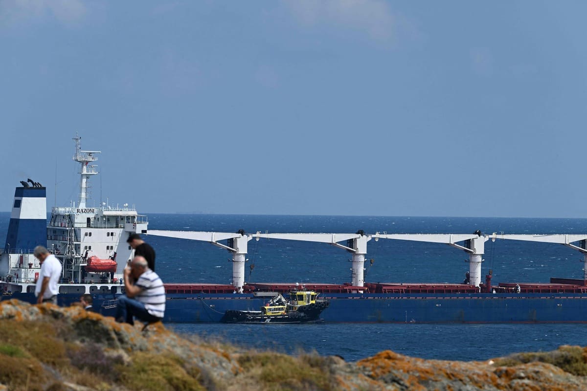 Le premier chargement de c&eacute;r&eacute;ales inspect&eacute; pr&egrave;s d'Istanbul