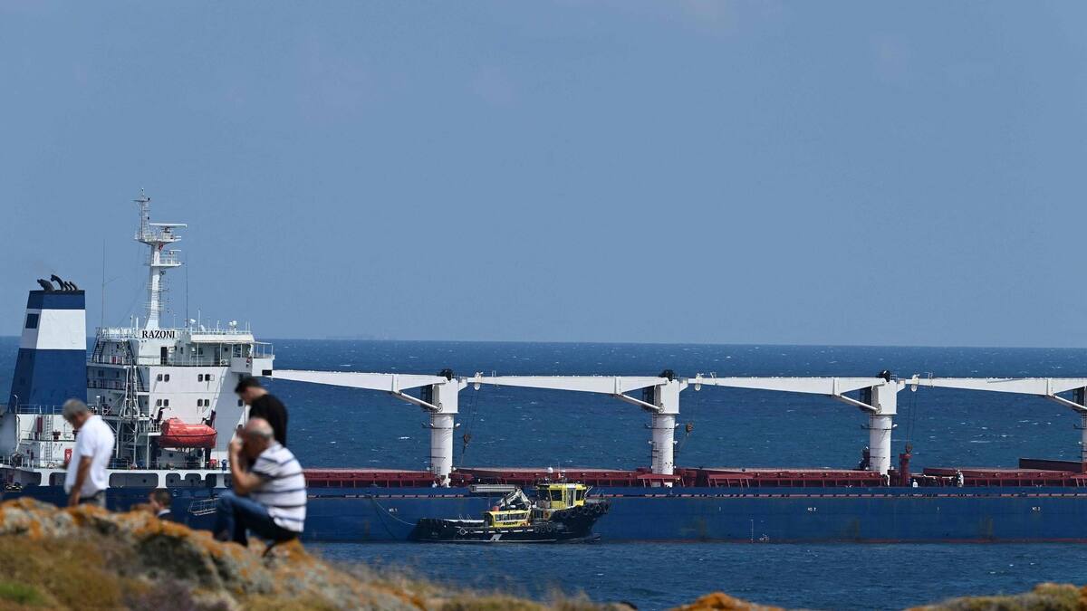 Le premier chargement de céréales inspecté près d'Istanbul