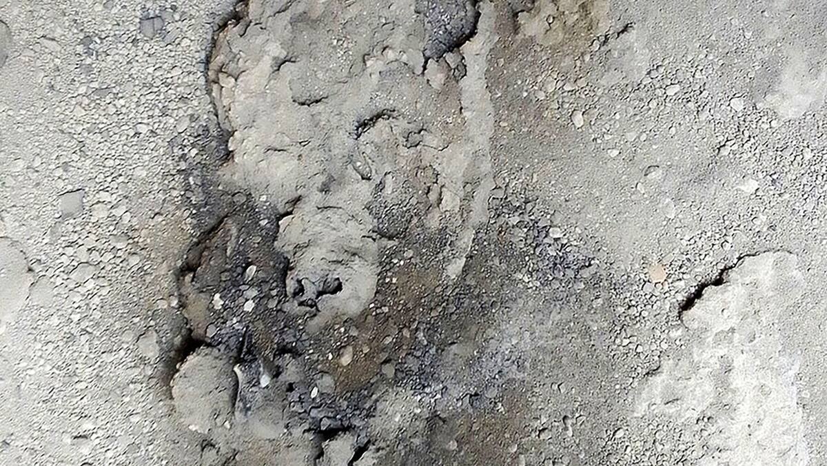 Un squelette découvert à Herculanum devrait apporter un nouvel éclairage sur l’éruption du Vésuve