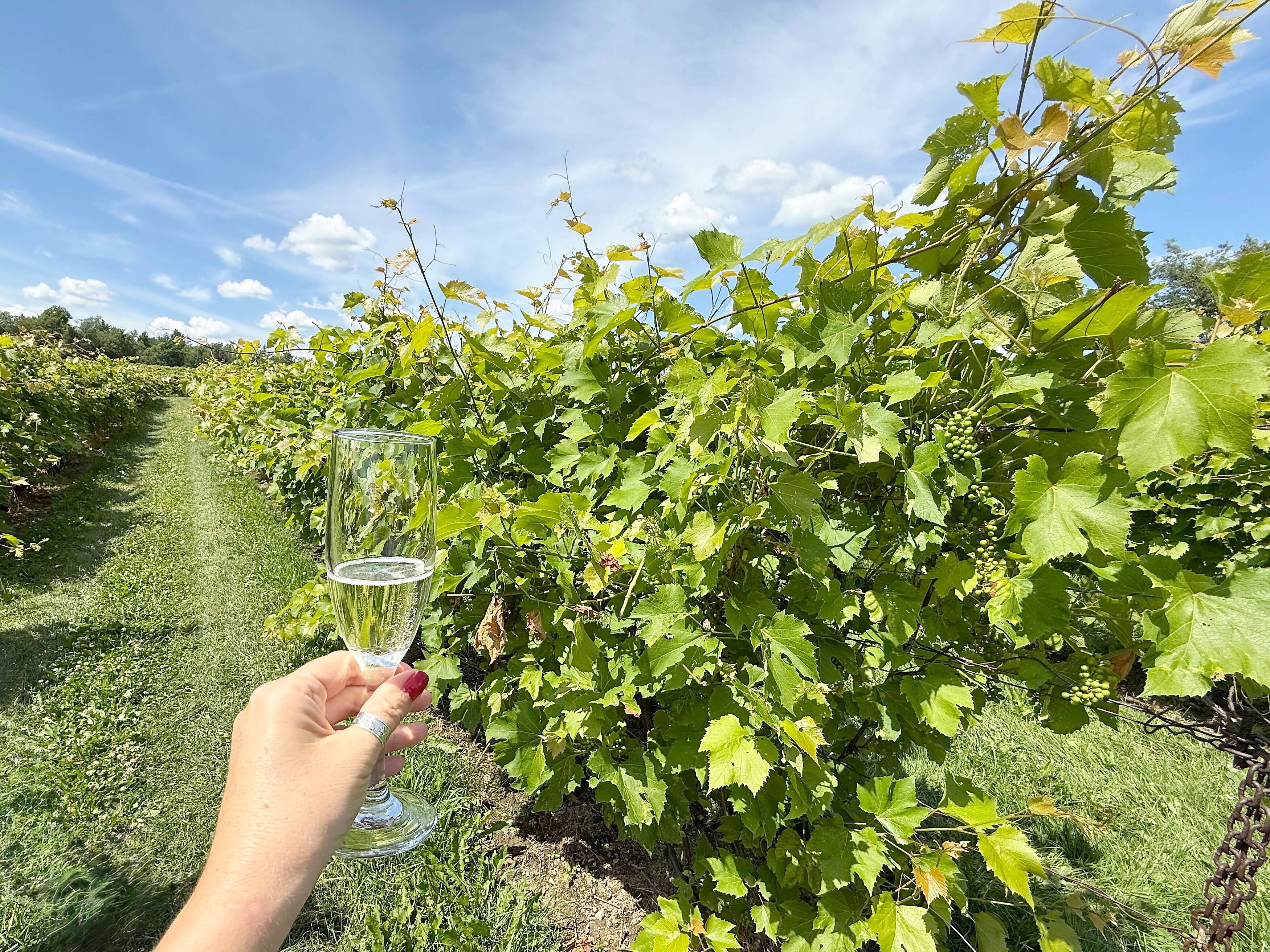 Bulles Domaine Bresee