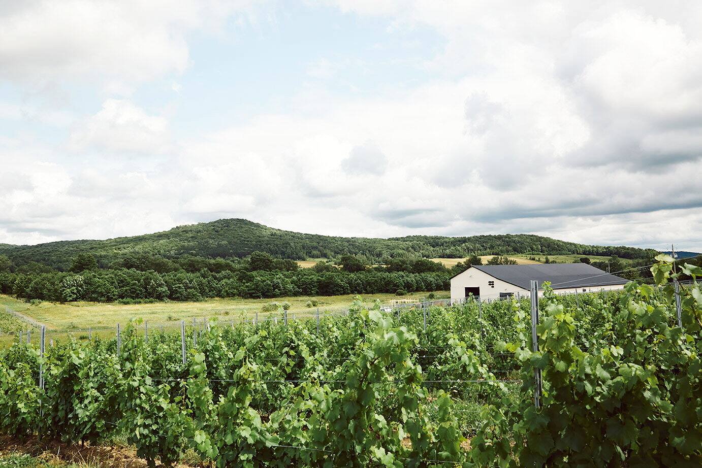Maison agricole Joy Hill