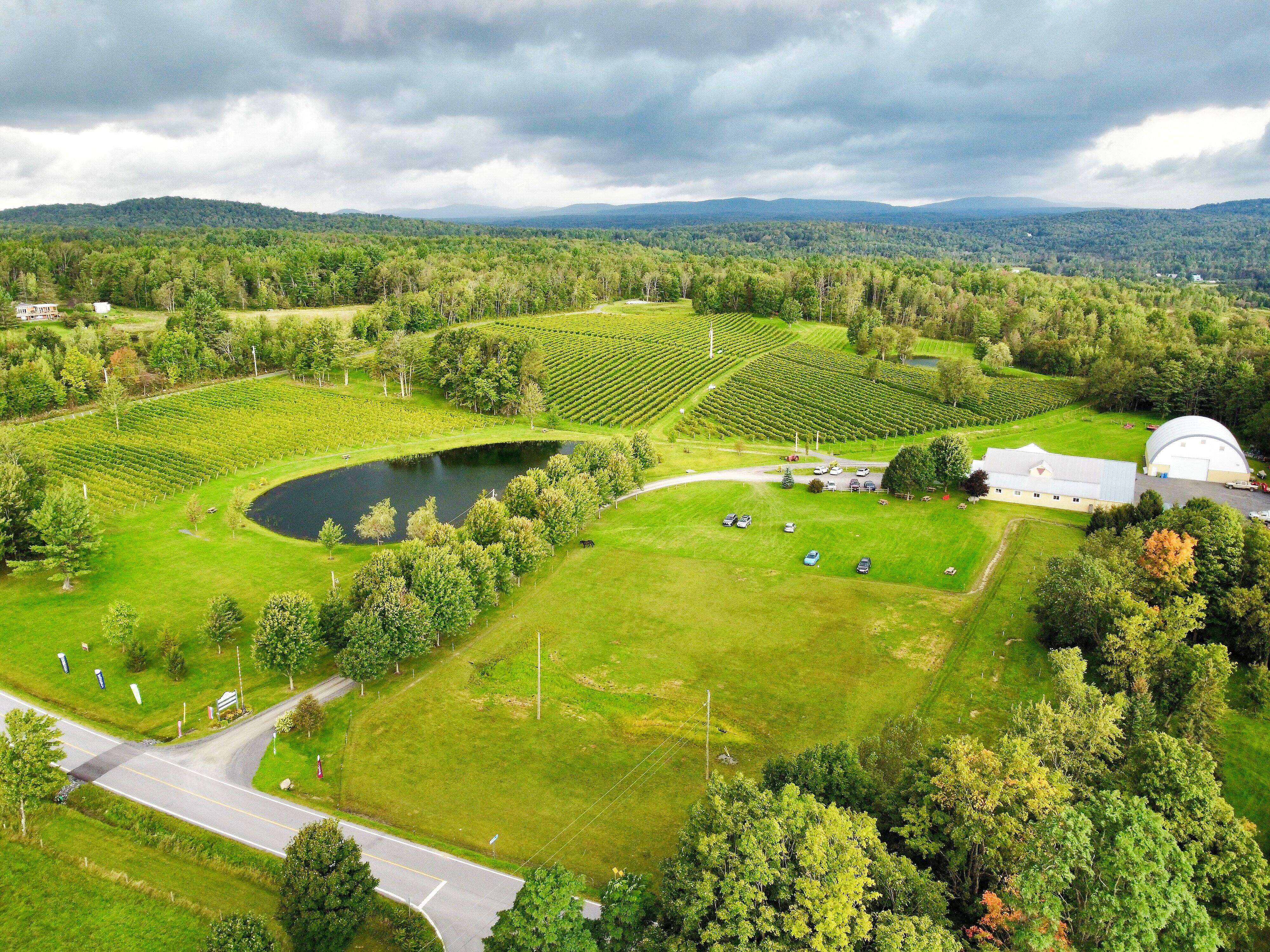 Domaine Bresee