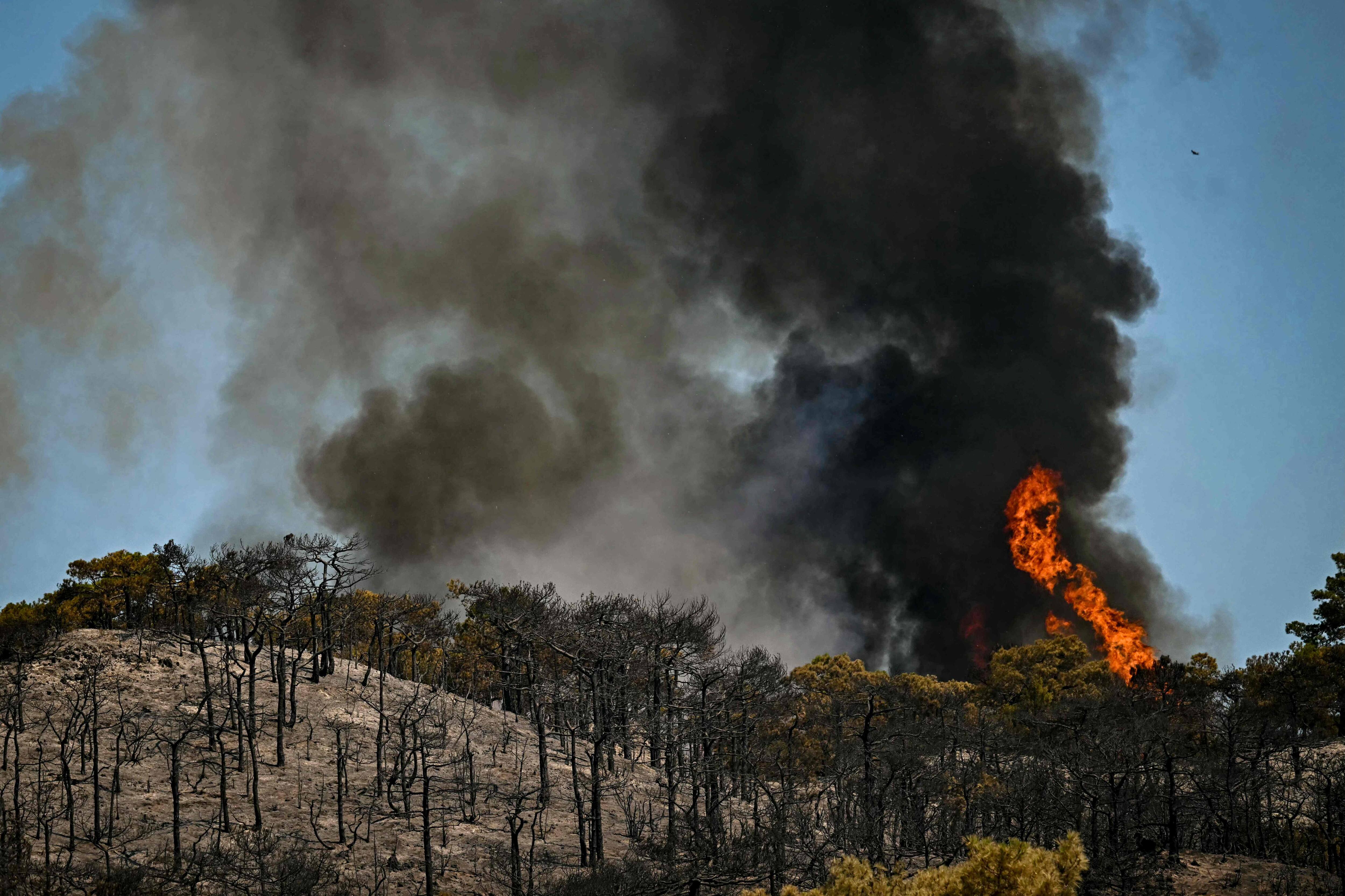 Feux de forêt dans le sud de la France: des citoyens évacués et le Tour de France perturbé