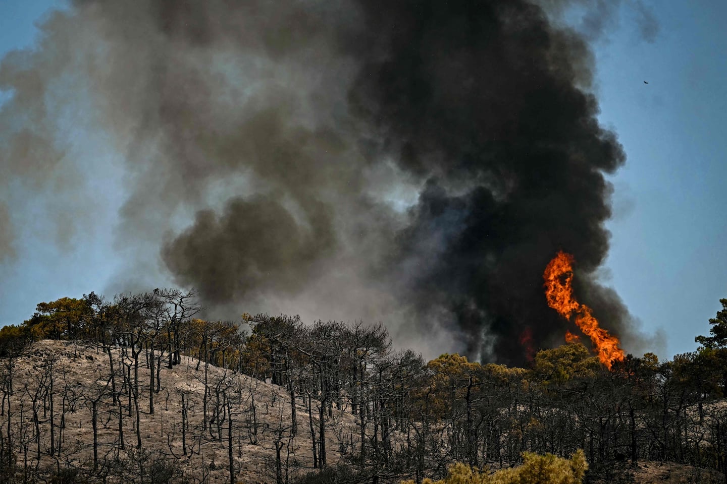 Feux de forêt dans le sud de la France: des citoyens évacués et le Tour de France perturbé