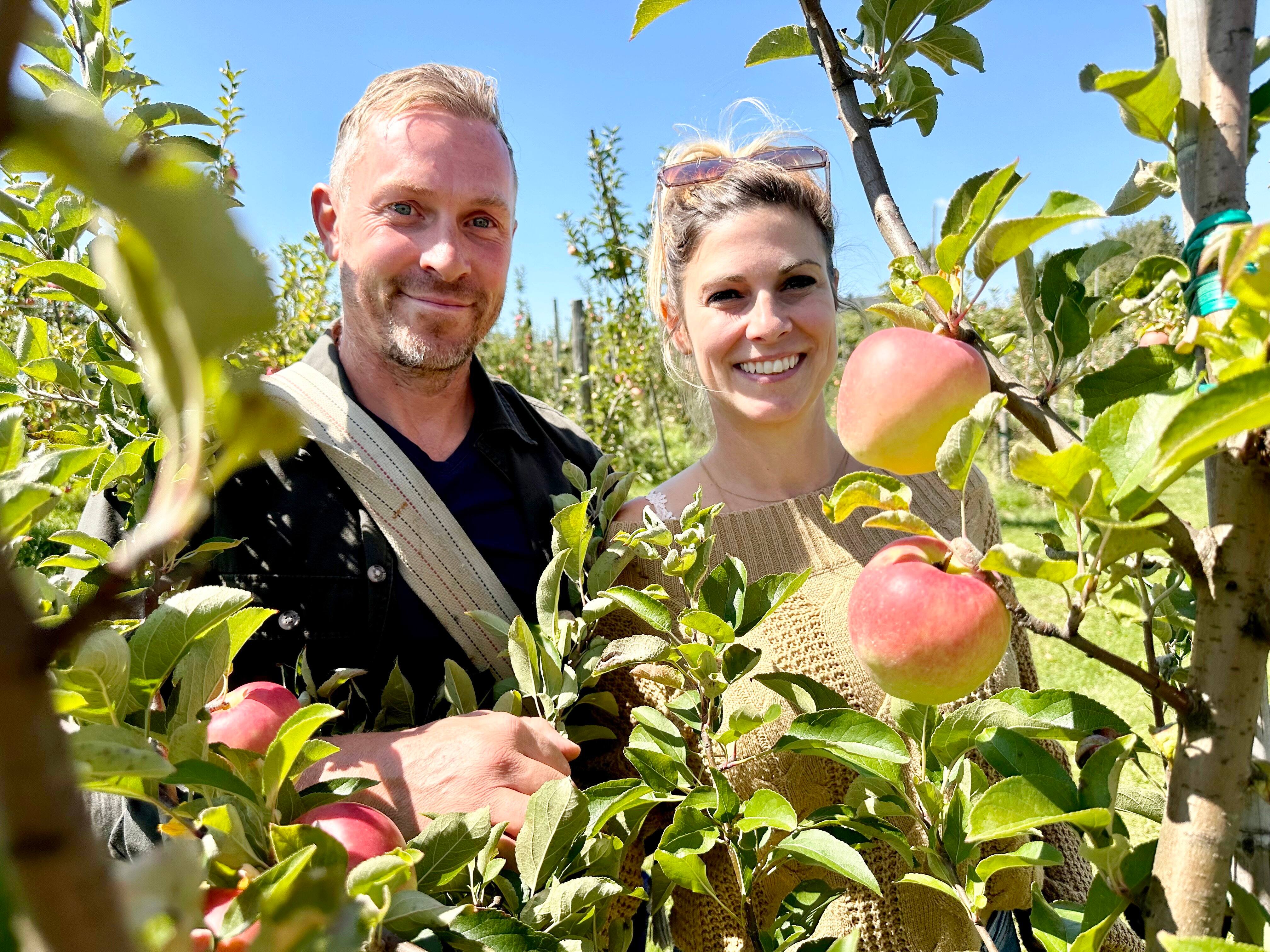 Le temps des pommes est (d&eacute;j&agrave;) commenc&eacute; et les pomiculteurs sont de bonne humeur