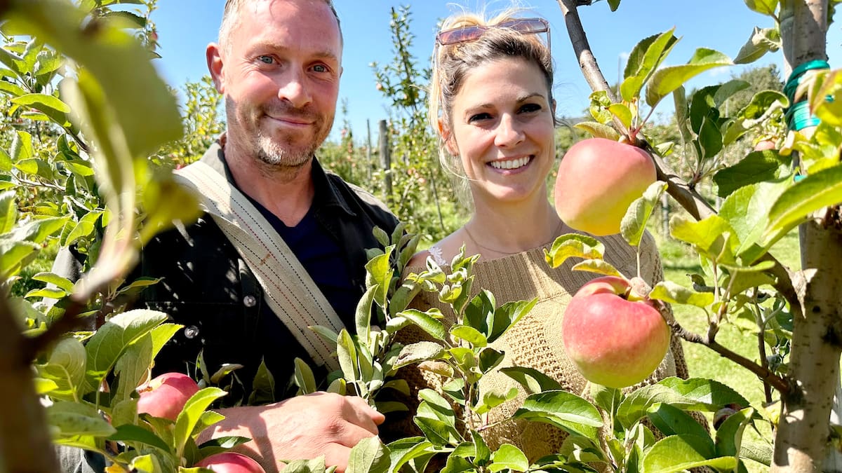 Le temps des pommes est (déjà) commencé et les pomiculteurs sont de bonne humeur