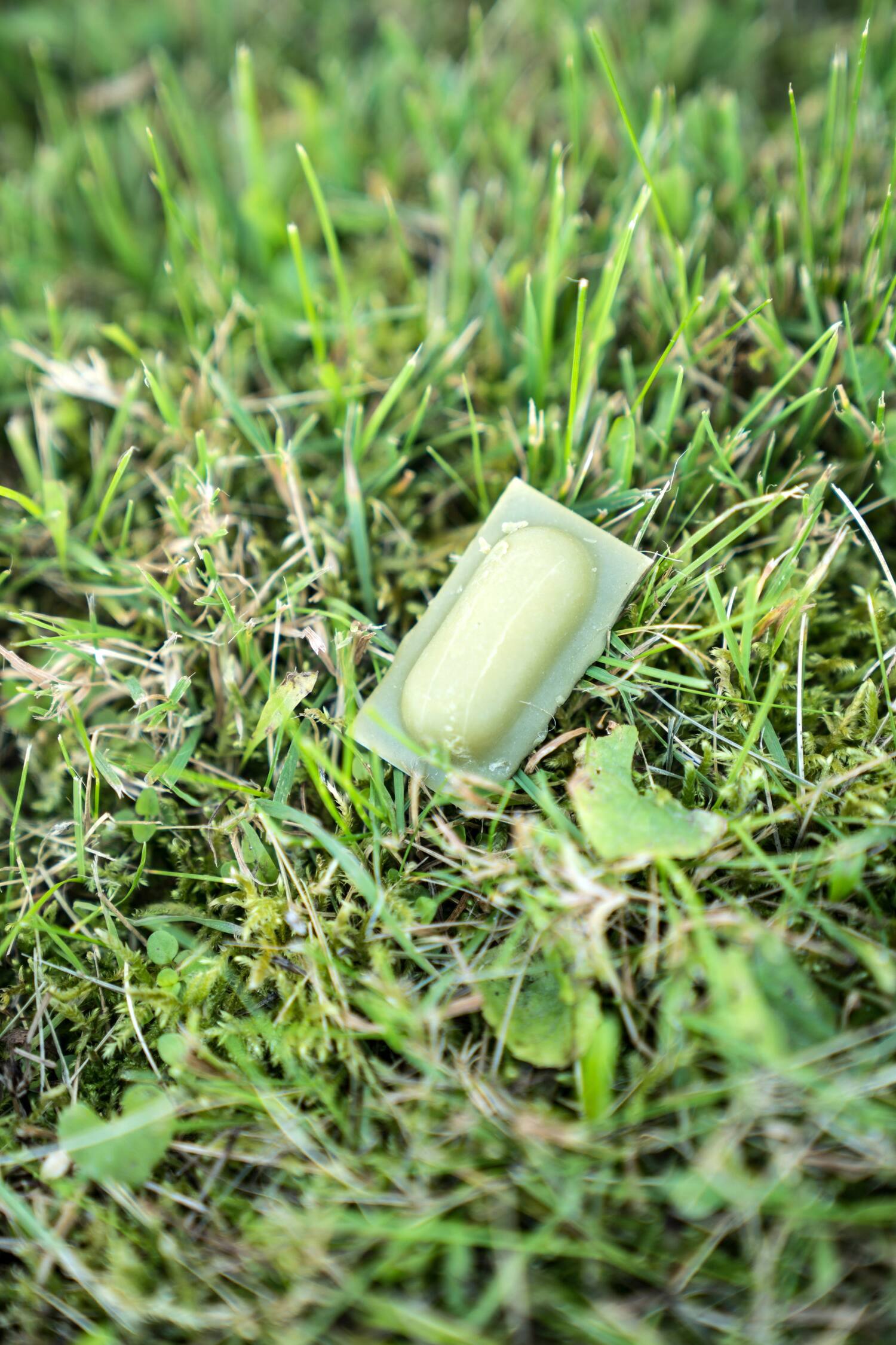 La rage est aux portes du Québec | Le Journal de Montréal