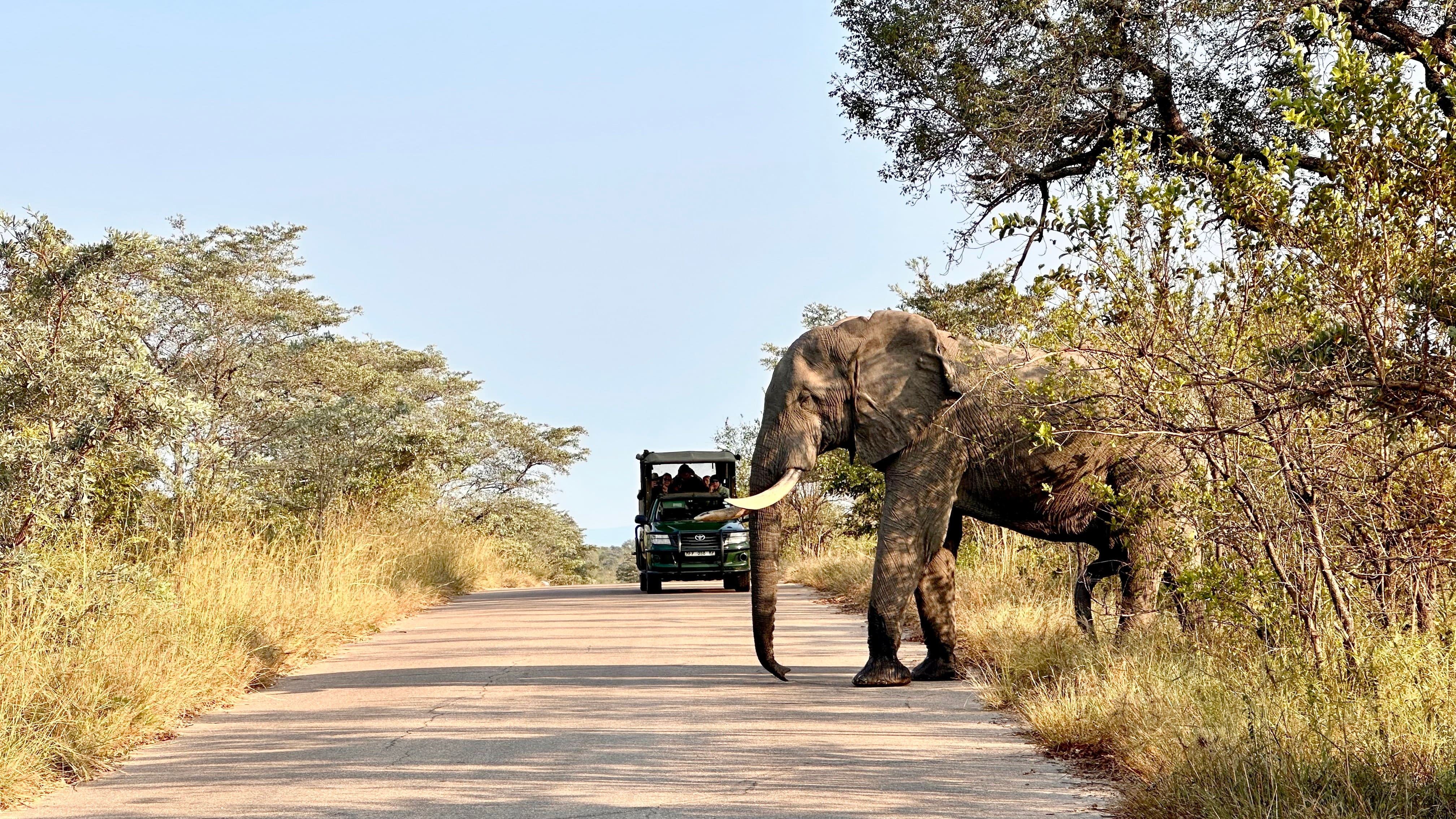 Du parc Kruger au canyon de la Blyde River, le nord-est de l'Afrique du Sud multiplie les expériences sauvages et inoubliables