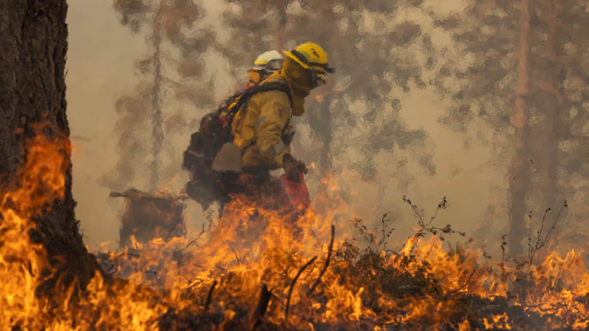 Un violent incendie continue de s'étendre en Californie