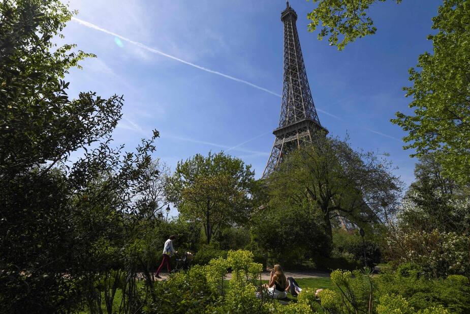 Image principale de l'article Des arbres abattus au pied de la tour Eiffel