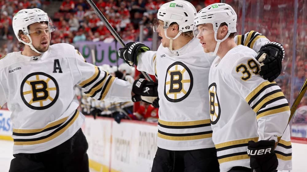 Les Bruins tiennent le coup face aux Panthers