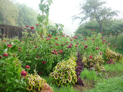 0622 CASA Flowers and vegetable garden