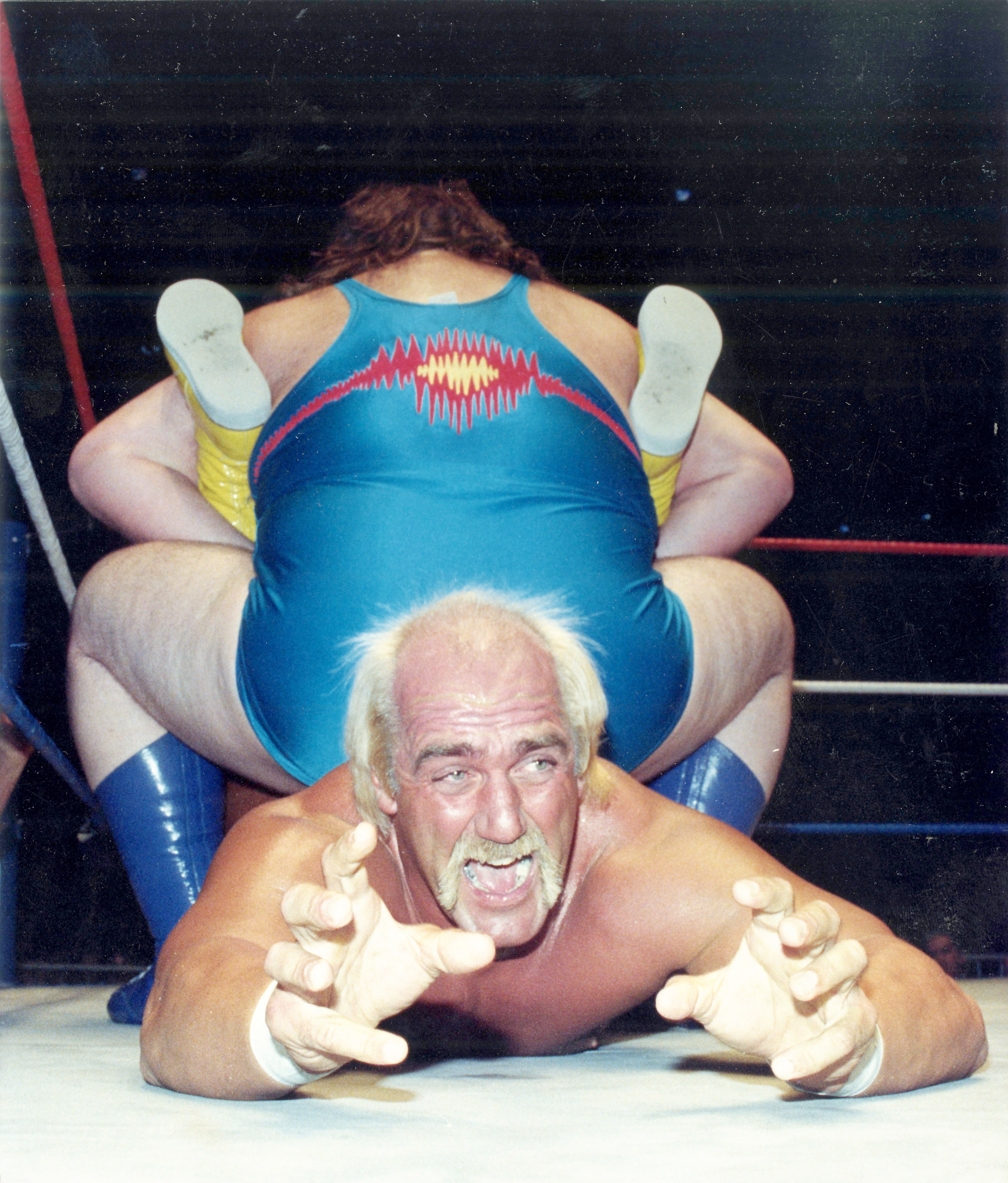 De Terry Bollea &agrave; Hulk Hogan : l&rsquo;&eacute;pop&eacute;e du plus l&eacute;gendaire des lutteurs
De Terry Bollea &agrave; Hulk Hogan : l&rsquo;&eacute;pop&eacute;e du plus l&eacute;gendaire des lutteurs