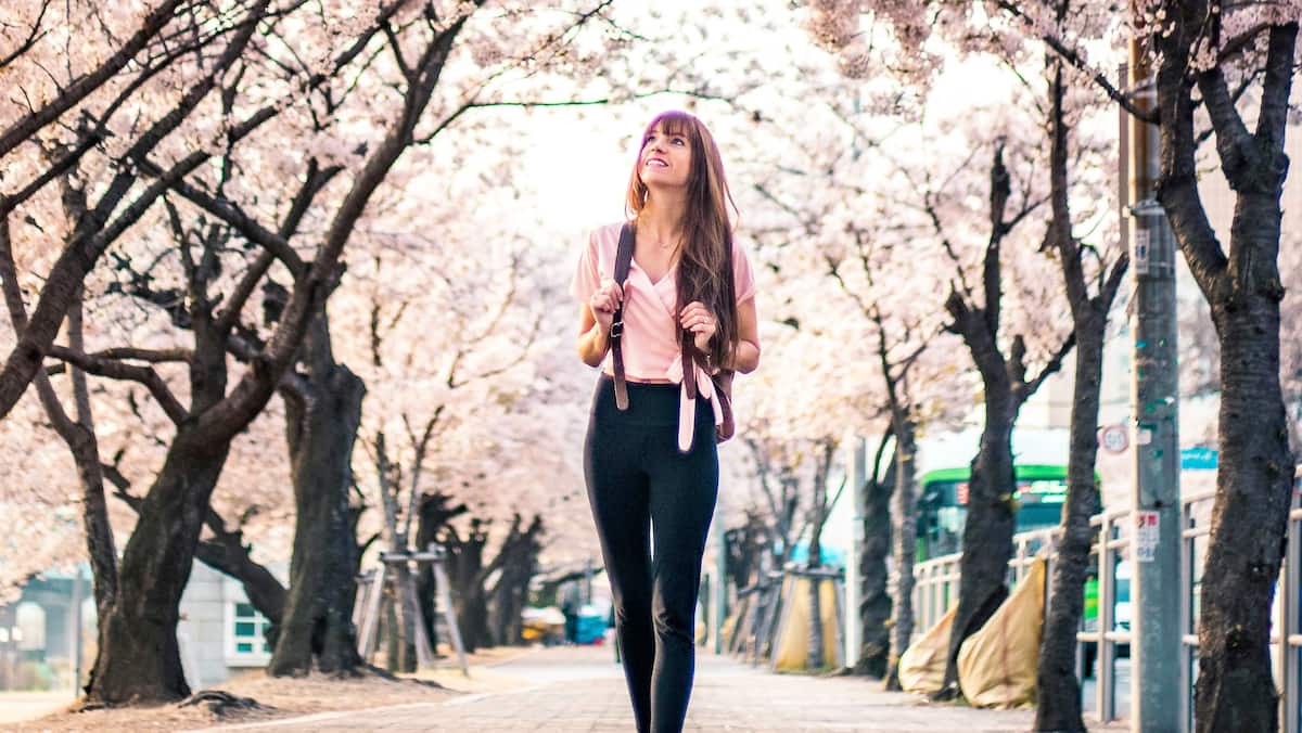 Voici 4 destinations possibles pour admirer les cerisiers en fleurs sans les foules du Japon