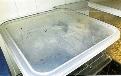 ಎಕ್ಕ್ರಿಮೆಂಟ್ಸ್ ಡಿ ಸೌರಿಸ್ ಸುರ್ ಲೆ ಕೌವರ್ಕಲ್ ಡಿ'ಯುನ್ ಕಂಟೆನೆಂಟ್ ಡಿ ಡೆನ್ರೀಸ್ ಸೆಚೆಸ್
