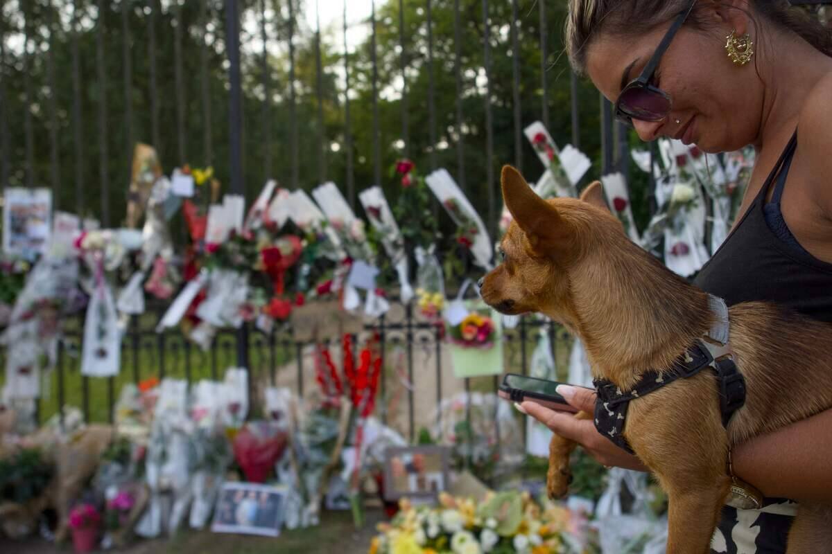 Loubo, le chien d'Alain Delon, ne sera pas euthanasi&eacute;, annonce la Fondation Bardot