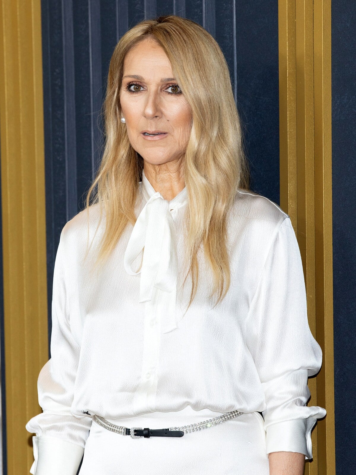 Retour de Céline Dion il faudra peutêtre attendre 2025 JDQ