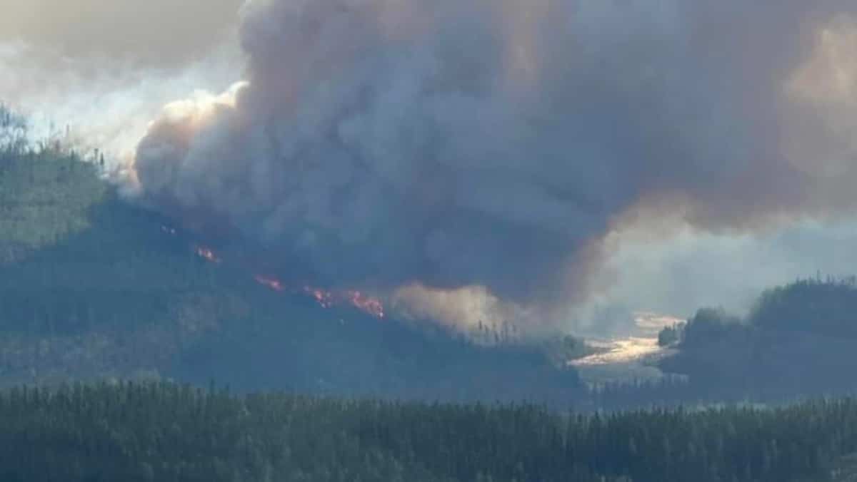 Feu Les feux de forêt en chiffres: 35 000 hectares brûlés en moins de 4 ...