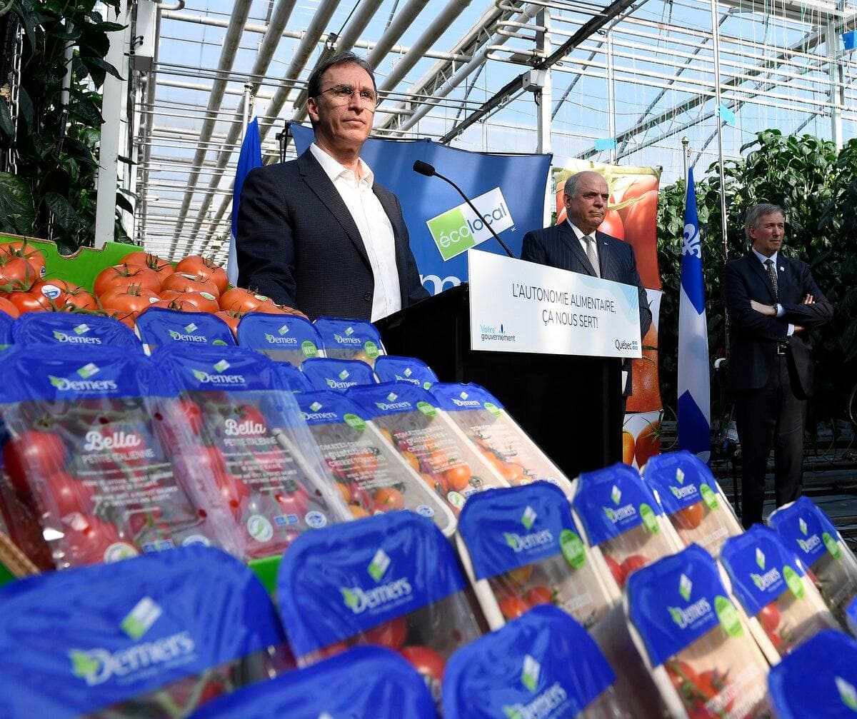 Savoura rachète les Serres Demers, au bord de la faillite