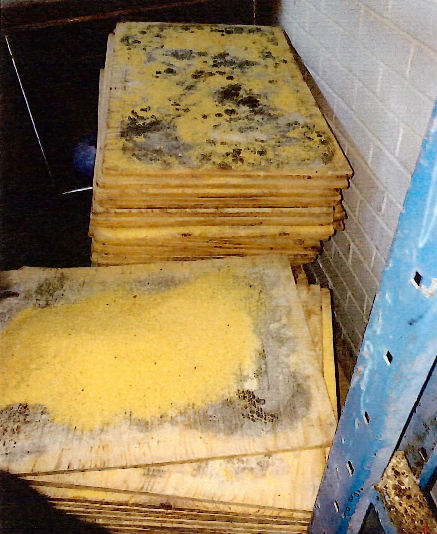 Souris, coquerelles et moisissures &agrave; la Boulangerie Kubera de Montr&eacute;al