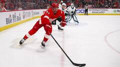 Frans Nielsen disponible