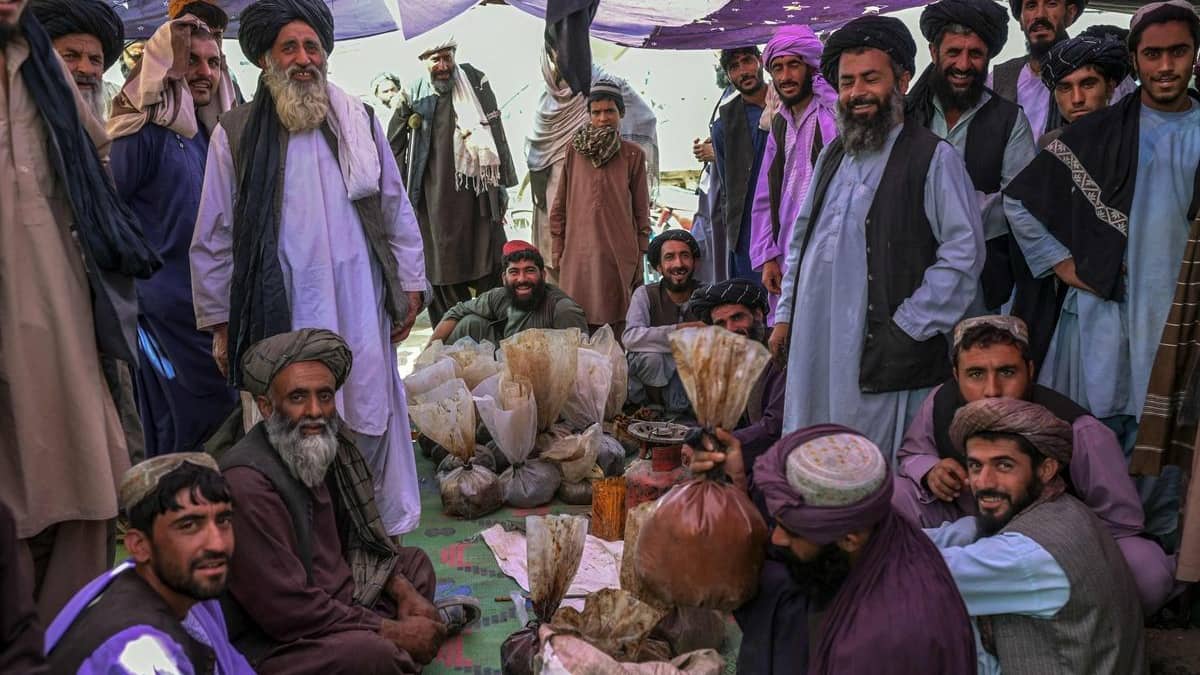 Au marché de l'opium afghan, les prix s'envolent sous les talibans